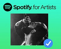 How to get verified on Spotify